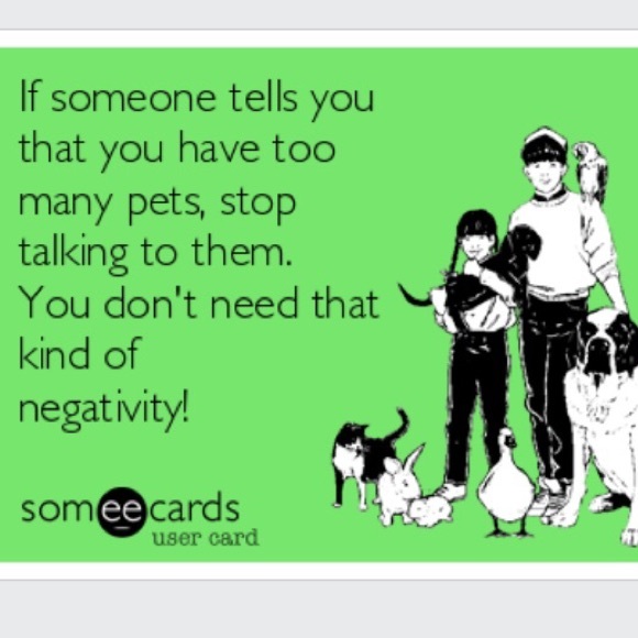 Meet your Posher, Tina - Picture 15 of 16